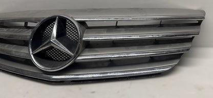 MASCHERINA GRIGLIA ANTERIORE MERCEDES CLASSE B246 2009 CODICE:A1698800783