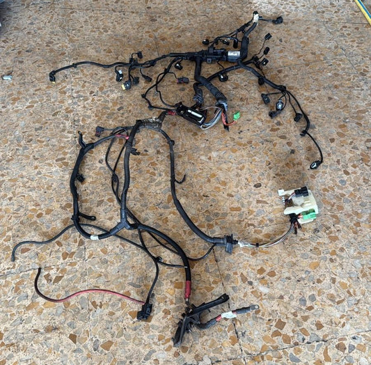 CABLAGGIO PER L'INSTALLAZIONE DEL MOTORE BMW SERIE 1\3 F20 F21 F30 F31 2015