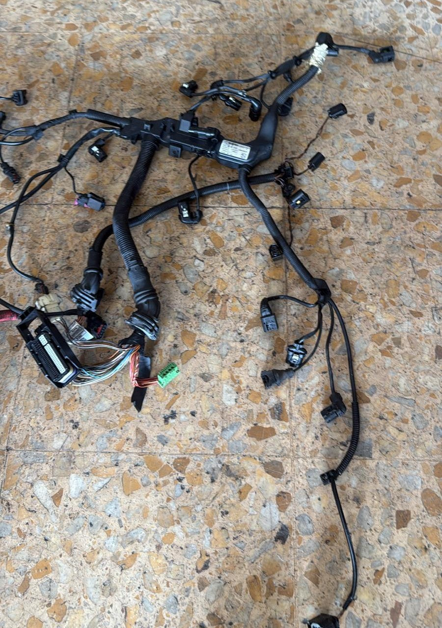 CABLAGGIO PER L'INSTALLAZIONE DEL MOTORE BMW SERIE 1\3 F20 F21 F30 F31 2015